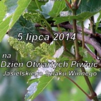 Dzień Otwartych Piwnic już 5 lipca